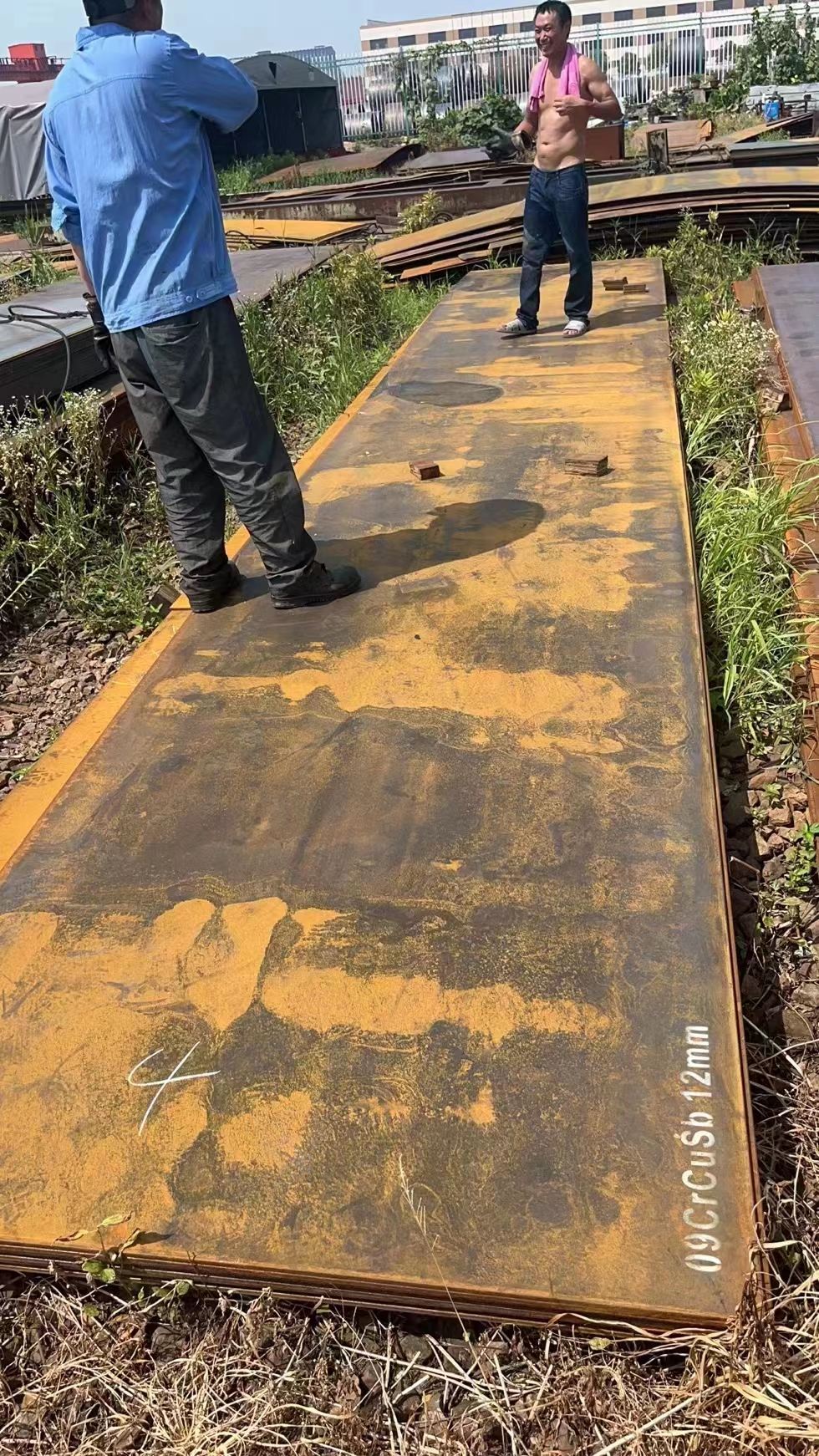 l09CrCuSbČND͸g䓰\/A䓶_ƽи