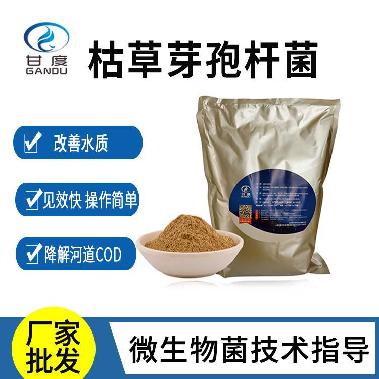 ʶȿݲѿߗUӵNԸ߷ֳ