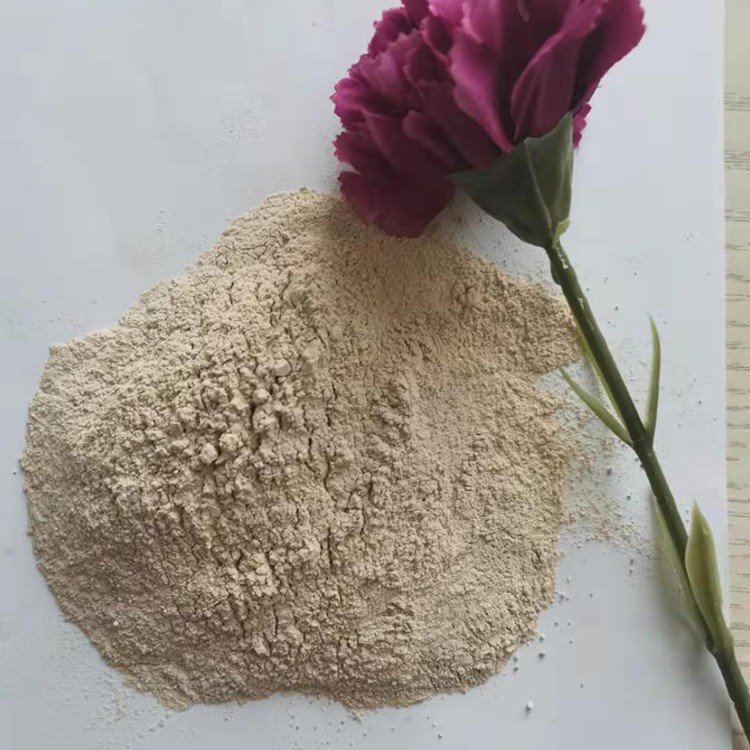 ʶȏͺϾNˮ̎NһwOْĤ