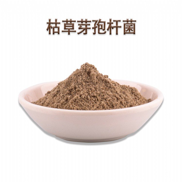 ʶȿݲѿߗUĩNͶӃˮ|