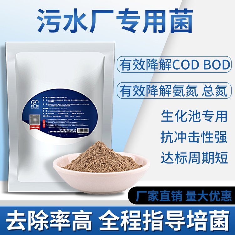 ʶȏͺϾˮ̎SNⰱcodgָ