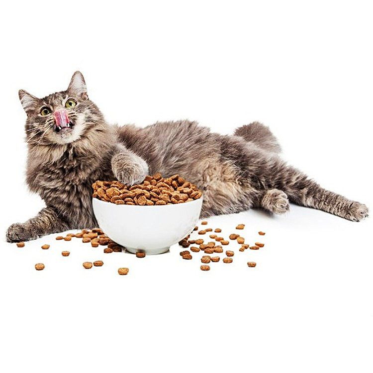 ZC؈ZwClz70pݗU򻯙C