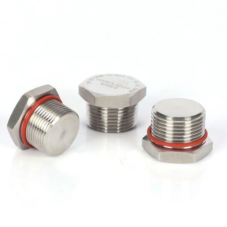 304P䓷^늹zExdIICM20*1.5NPT1\/2