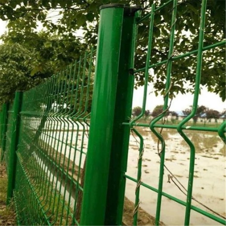 ԴGɫ^FzWSl(f)F(xin)؛l(f)ɰDƹ̳н