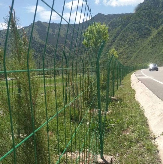 ԴoGFWSlF؛lɰDƹ̳н