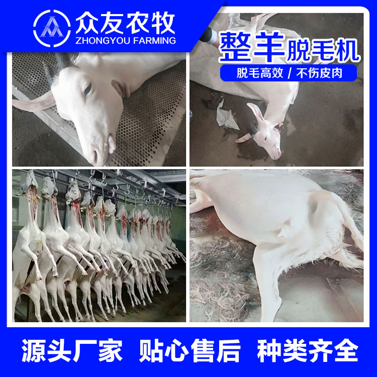 ךÓëC(j)CһwC(j)PҺưO(sh)