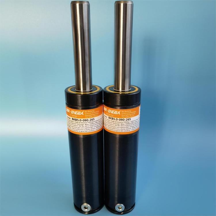 BBK-JINGBAĥ_(d)200fκϽ䓲|(zh)܇zTU\/GSK\/BKB500