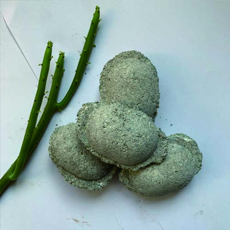 䓏SßoˮÓÓs̩(f)Ó