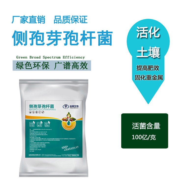 ѿߗUӄ100|\/Ҏ(gu)25b