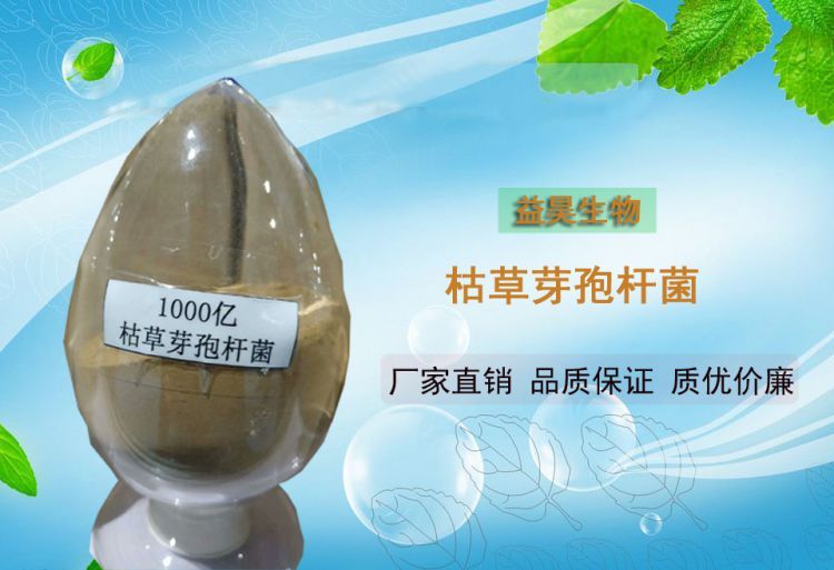 ݲѿߗUS~rˮ~{ˮݲѿߗUS