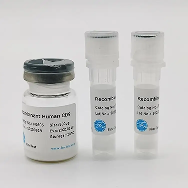 ԴJUNؽM(RecombinantHumanJUN)