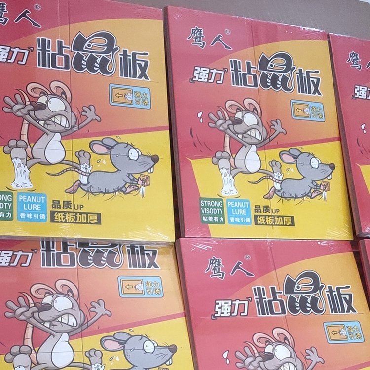 ճճӰNճӺ񼈰B(yng)ֳʳ