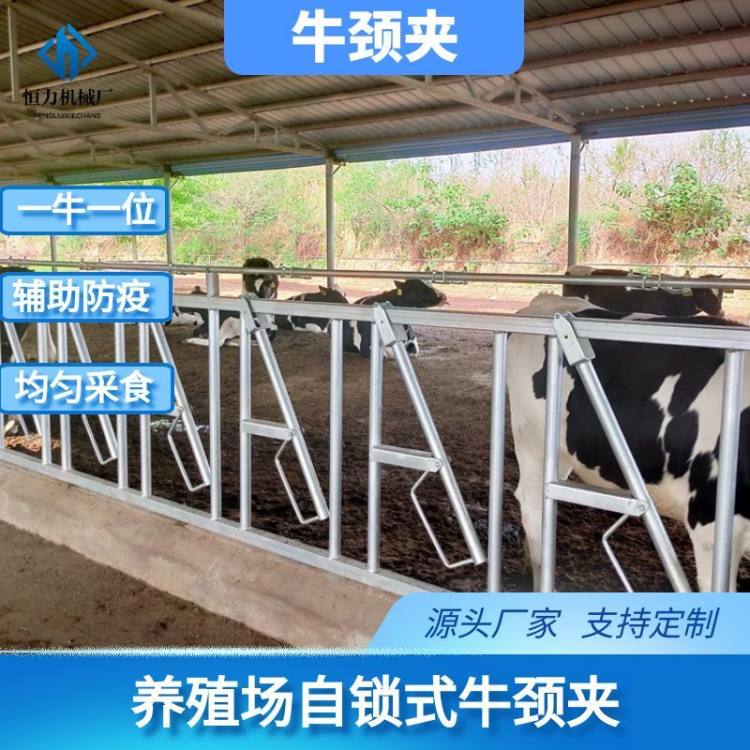 BţOţiţO̶ţüţiA