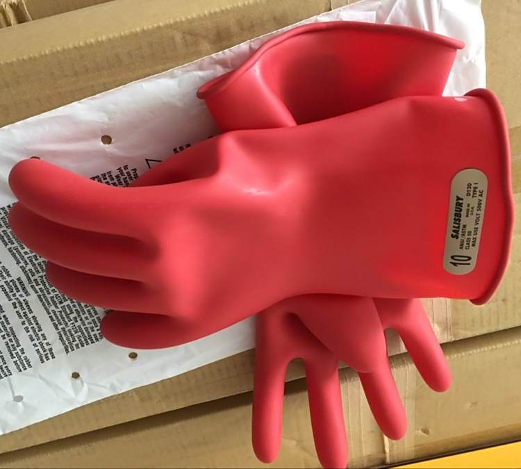 E011B͉^ףSalisbury늹A|500vM