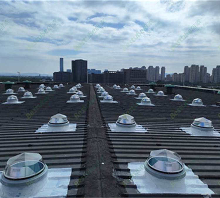 (do)w^҃(ni)ṩȻh(hun)