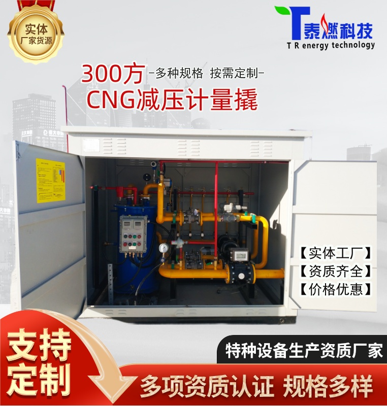 300CNGp{OcngOaƷ^˙zJC