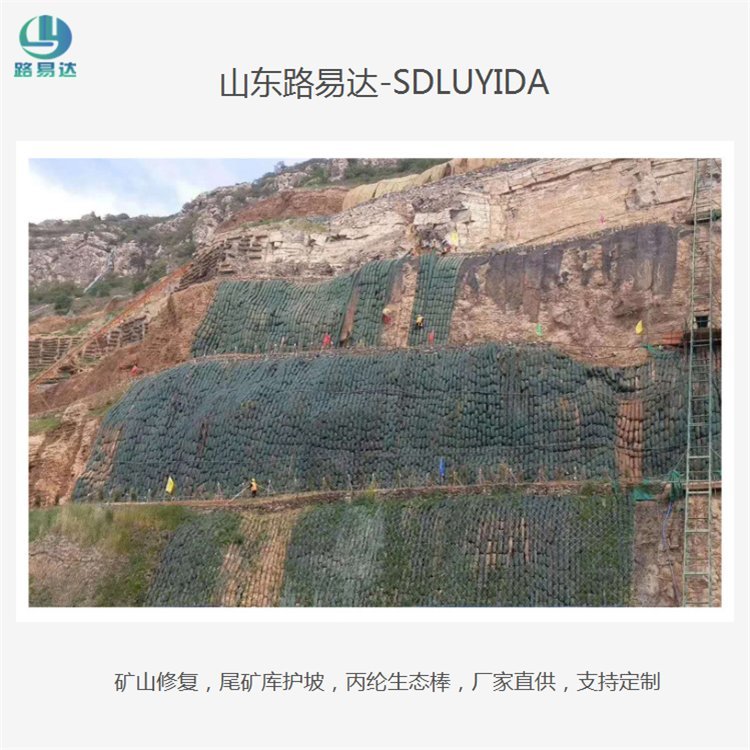 Vɽޏ(f)B(ti)o(h)±]B(ti)Sֱֶ֧