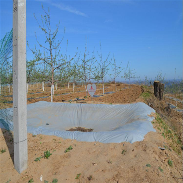 ܛwˮa(chn)SҿɶʩνQȱˮy}