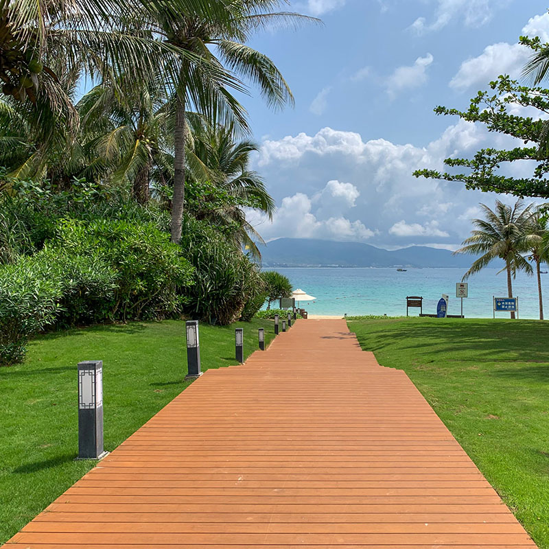 SҬF؛ľذͷ\SɫɫȿʽRȫ