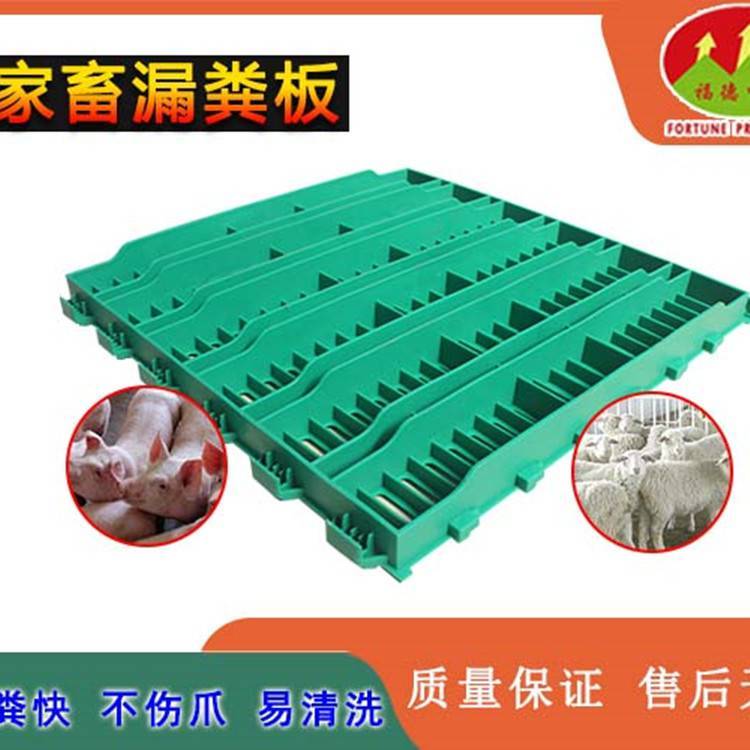 (jng)򴲰©S©ʺSl(f)