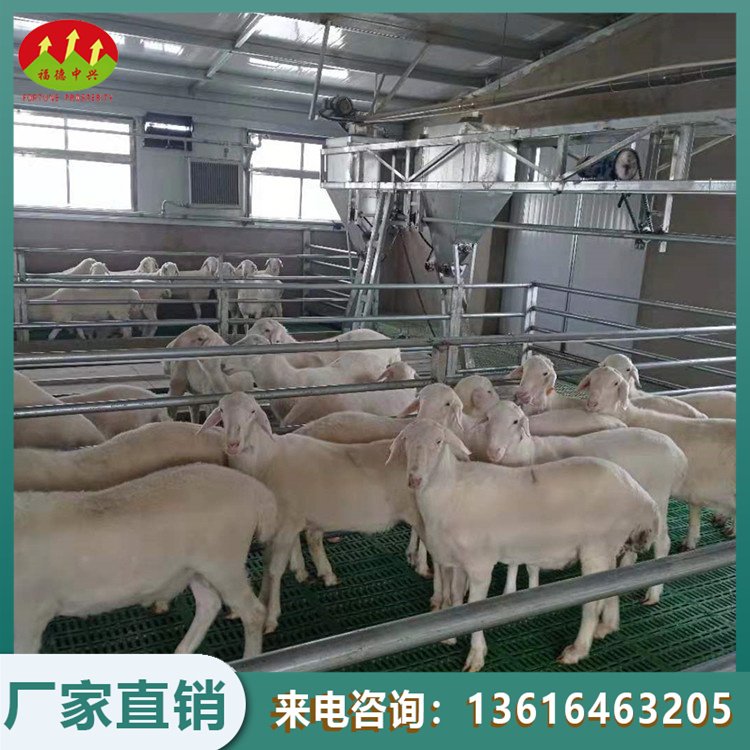 ©Sԭ©ʺKB(yng)þGɫԭ