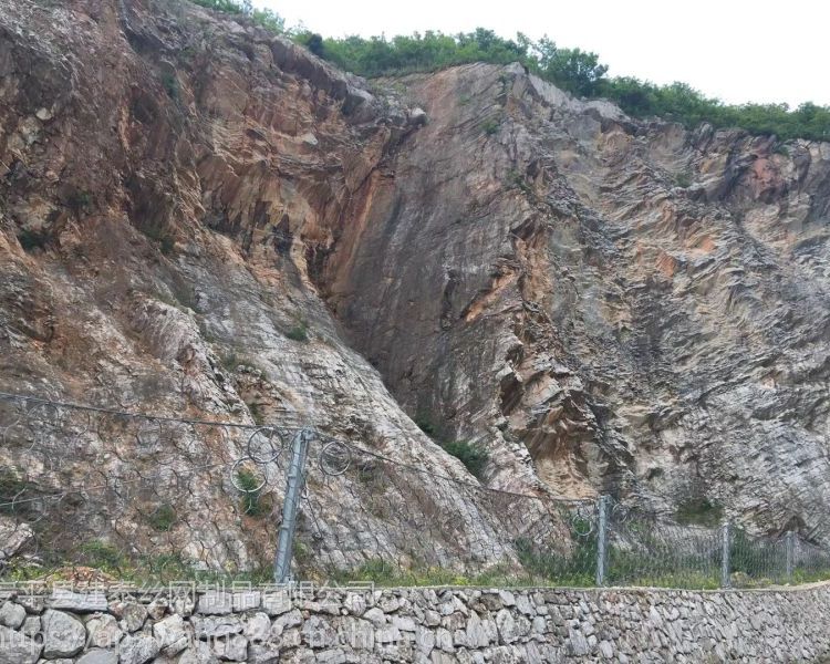 ɶ߅·o(h)W(wng)SĴɽw߅·o(h)W(wng)·߅·o(h)W(wng)