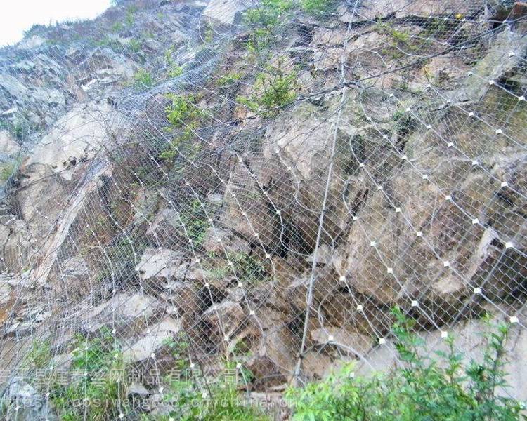 snsԷo(h)W(wng)o(h)¾W(wng)ʯ߅±(dng)o(h)W(wng)