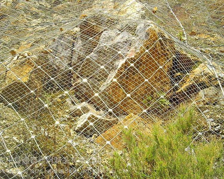 V|߅·o(h)W(wng)sns߅·o(h)W(wng)Ҏ(gu)Ľ߅·o(h)W(wng)