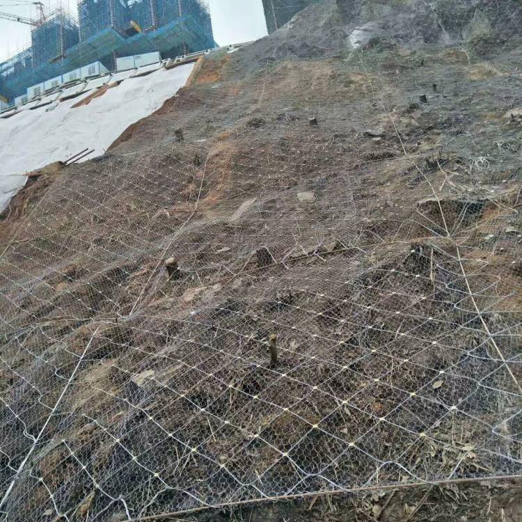 ߅·o(h)W(wng)(dng)o(h)W(wng)ɽ|߅¾W(wng)S