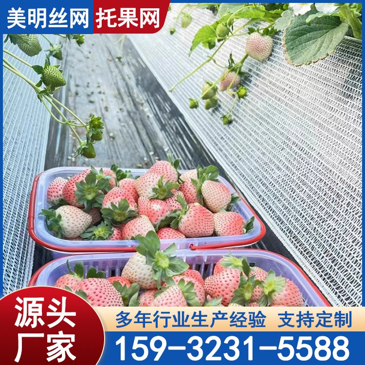 ߼ܲݮйW(wng)йAйW(wng)woøxоW(wng)