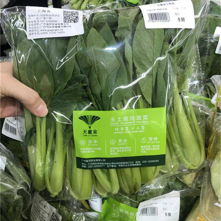 SؐBOPPpFĤpӡˢϱĤ