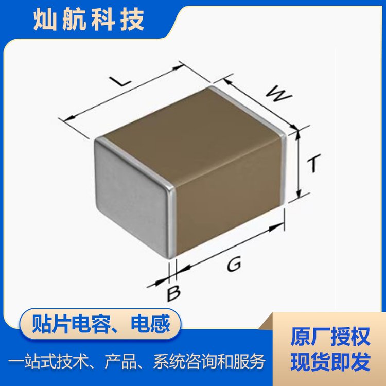 TDKNƬݴMuratabGRM32ER61A107ME20L
