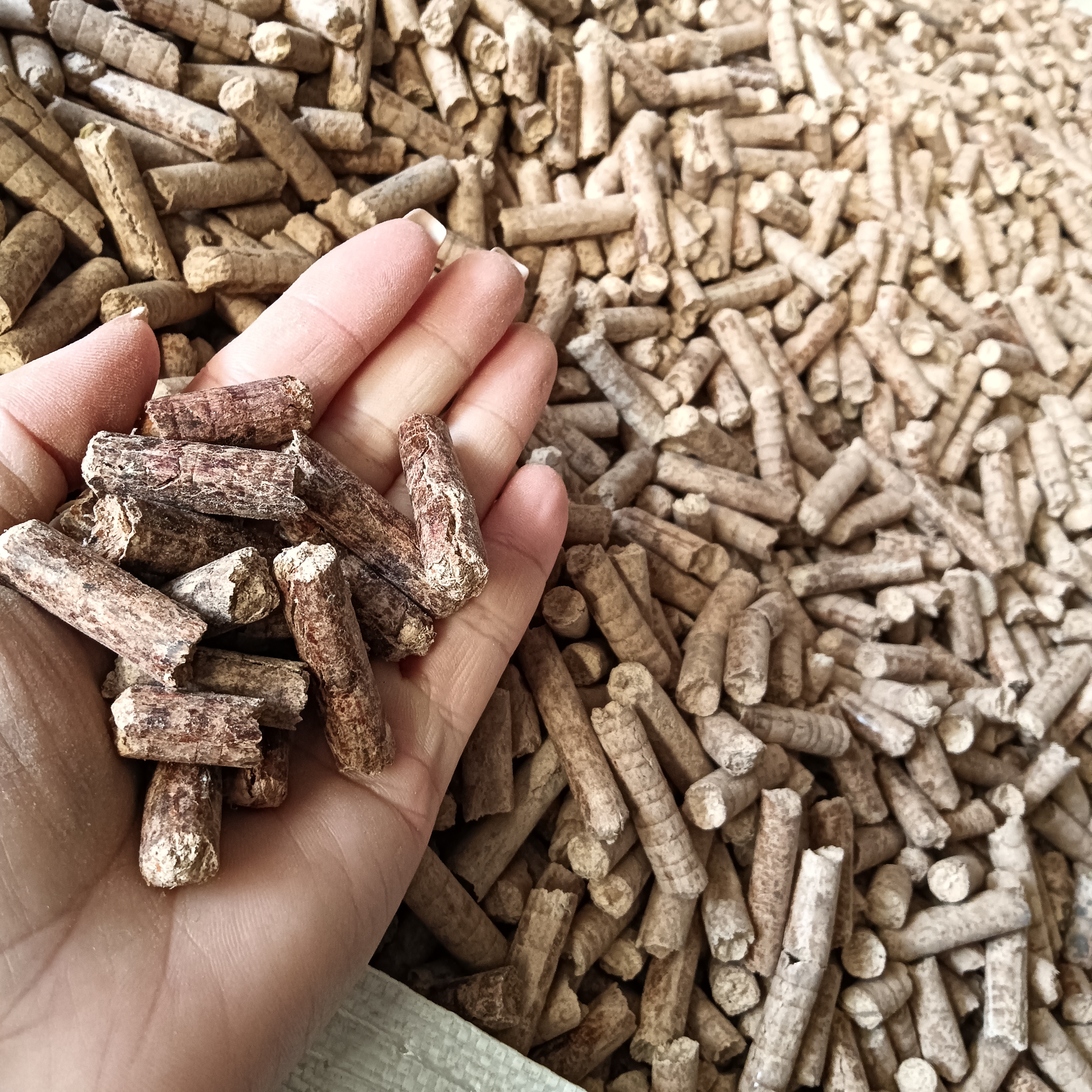 |(zh)wȼľwֵľ|(zh)wȼľh(hun)(ji)w