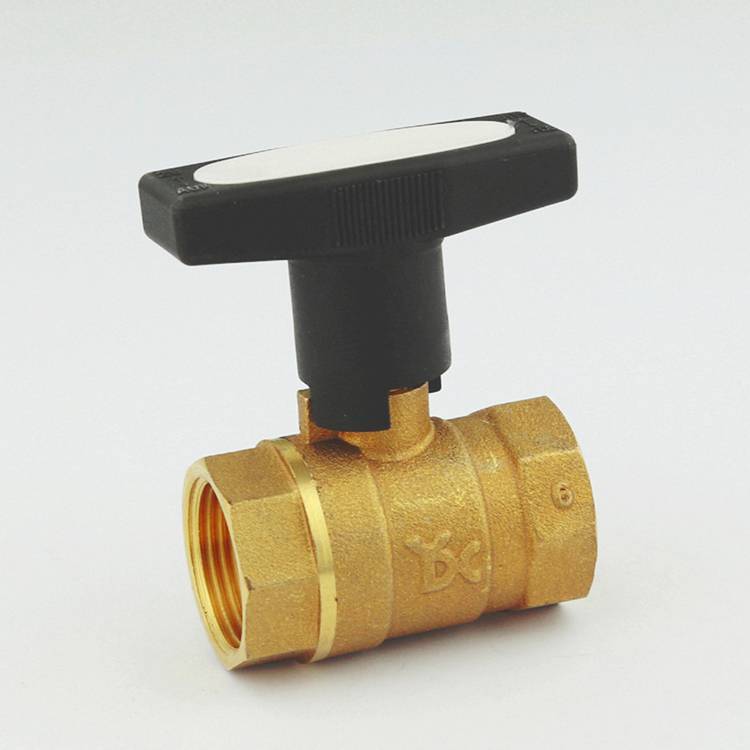 233̖S~lyȼ⌣ݼyBӳع