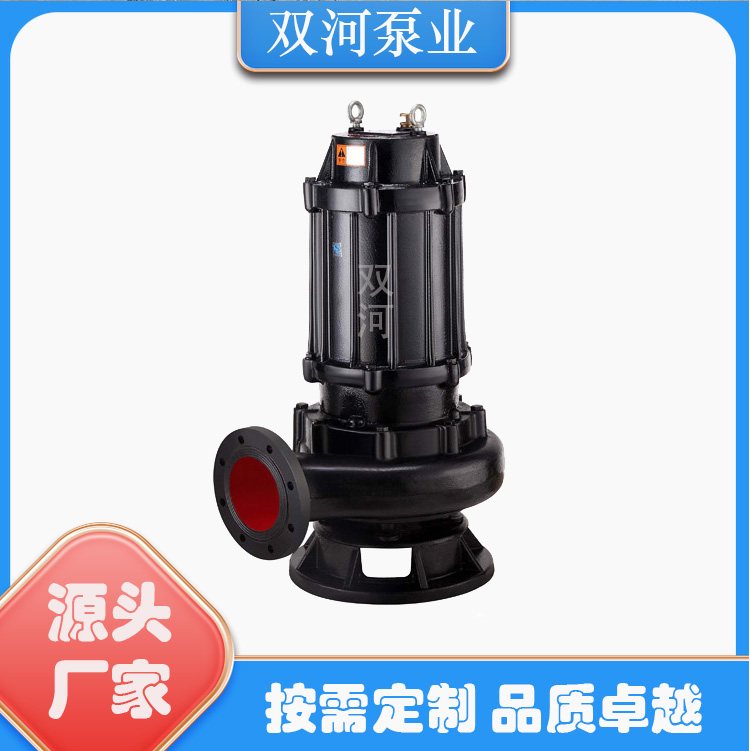 pӱØIӹƝˮ۱100WQ110-10-5.5