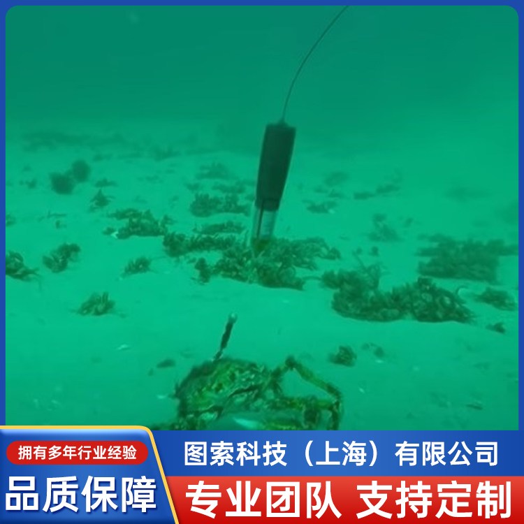 SurvivorshipPAT-407ʽnlӛ֧֔lǂݔ