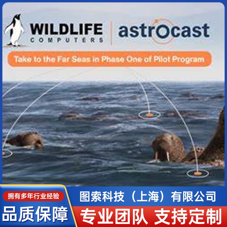 SPLASH10-F-297nlǂݔ˺һ犃ṩ_λ