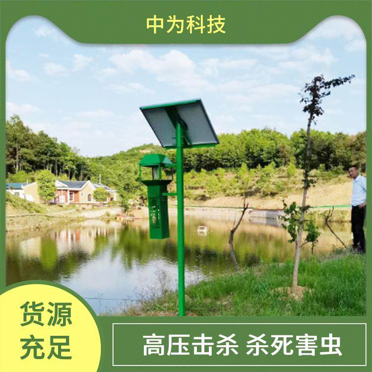 ̫Lʽxxxx߲˻طNֲxFX06