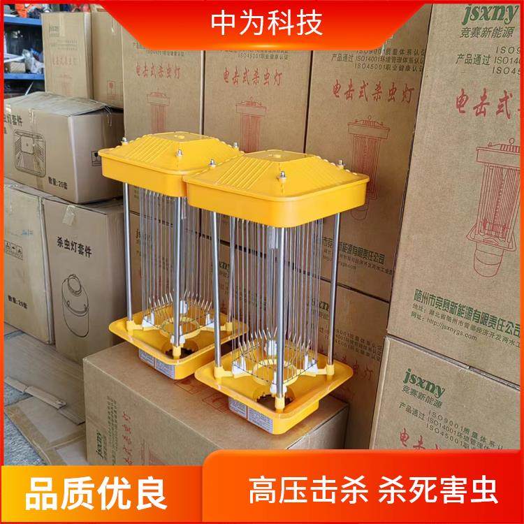 ̫TxSN늓ʽrBֳ͸ߜ͸߉gPZ09