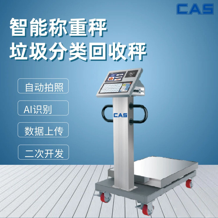 UƷӳܷQϵyAIReCASPʿ