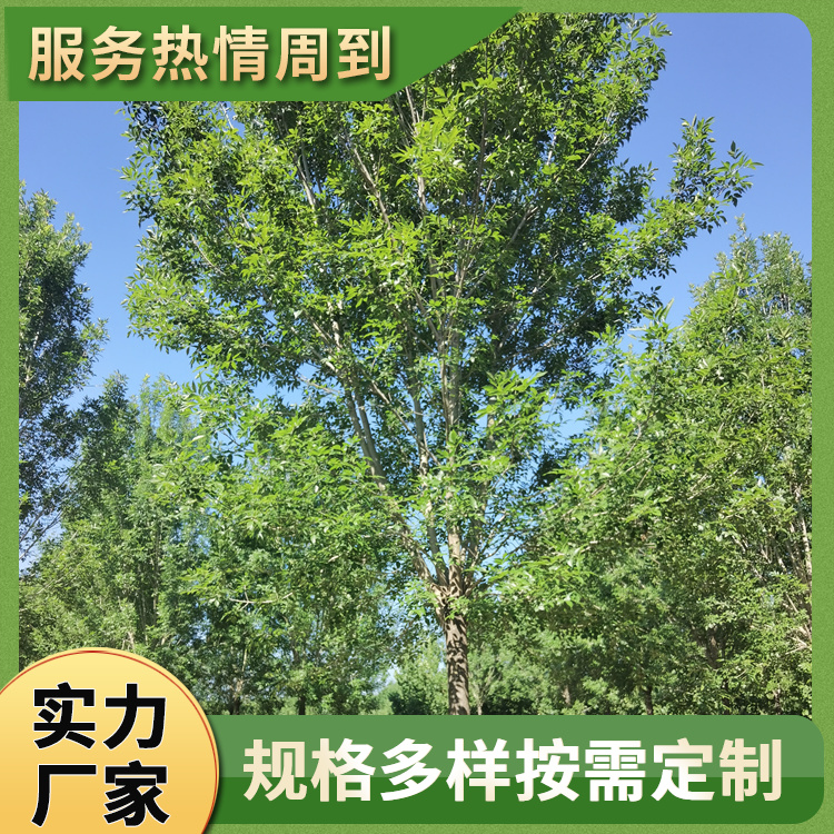 ͥԺNֲ14ְϞ·еϞꎼ{