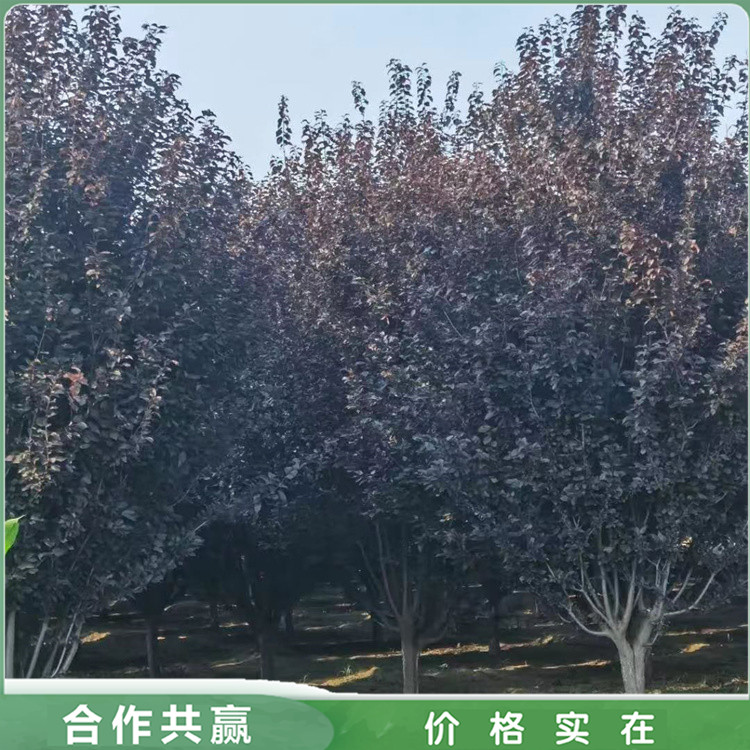 ܻ8-9-10-11~@L(fng)t~е