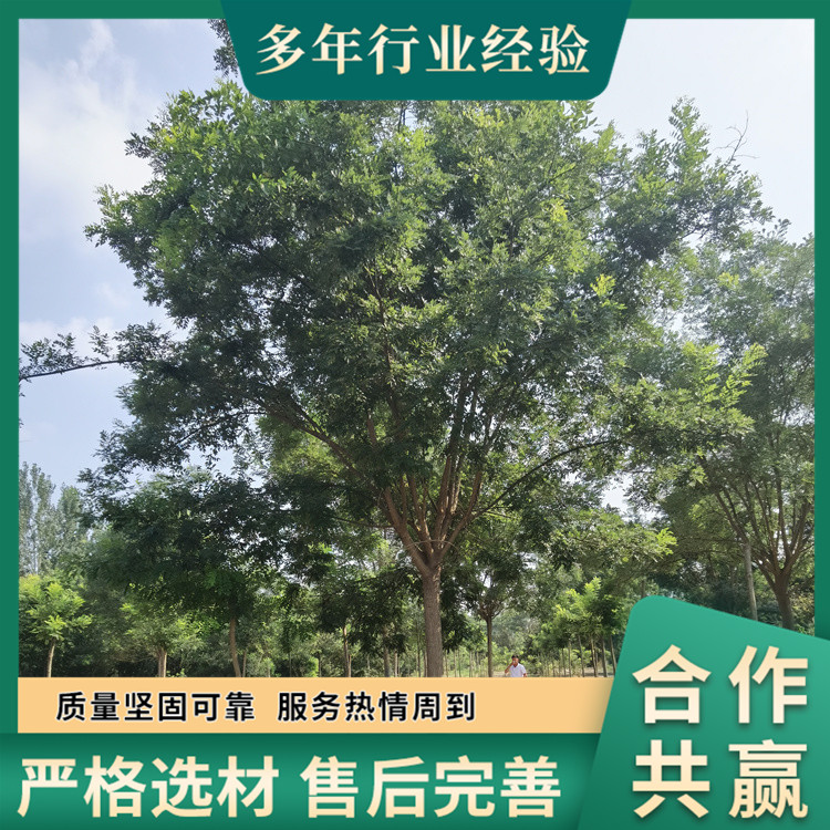 С^13-14-15-16-17և·͇