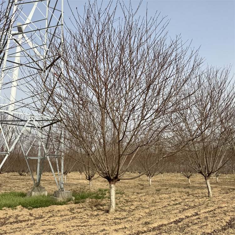 е16ּt~ҏVt~Ҙ乫@С^(q)GL