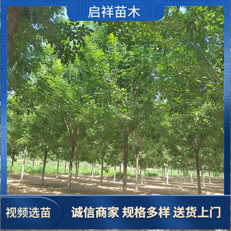 6810ְϞ@־GϞԶֲͥԺ