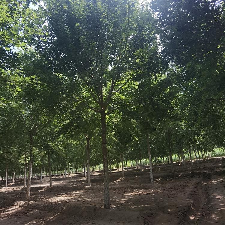 10Ǘ֦~ïʢ΃Ԫ֧cyһ