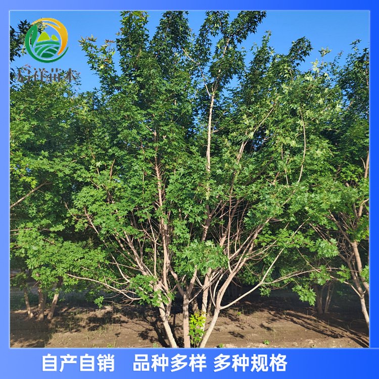 15-16-17-18-19-20Ǘ·@~ľǗ