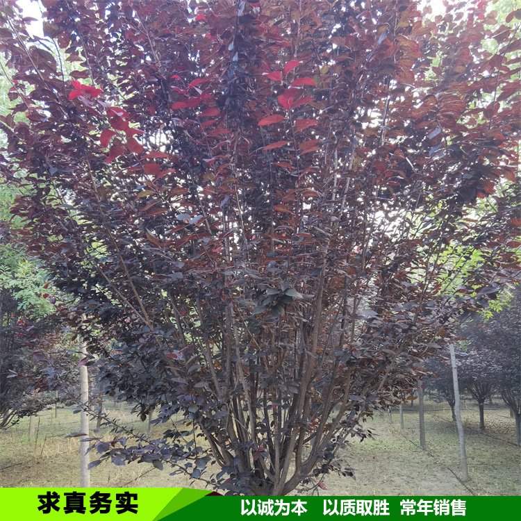 7-8-9-10-11-12-13-14-15ּt~t~е