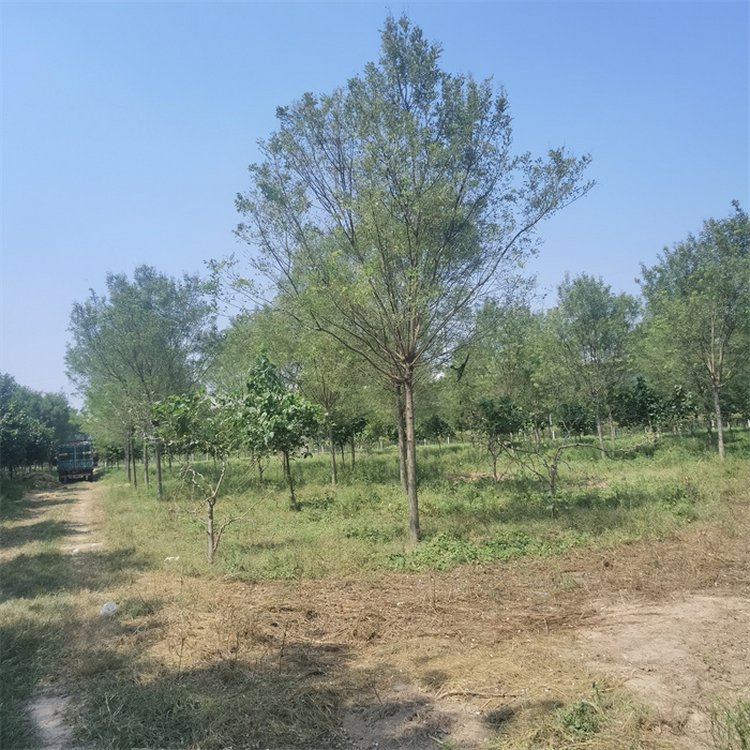 161719ևخa(chn)GͥԺGеG俹}A