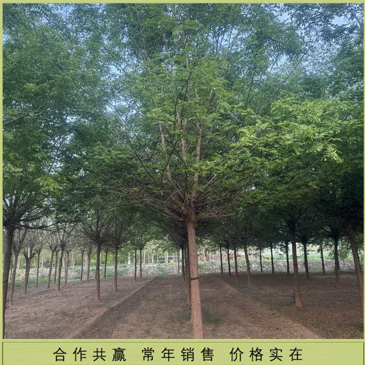 15-16-17-18-19-20ǘ乫@еv{h